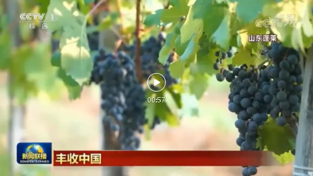 QQ截图20210922102330