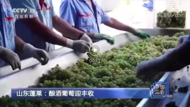 QQ截图20210922102340