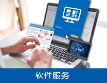 软件服务